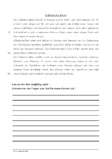 Säbelschnäbler.pdf